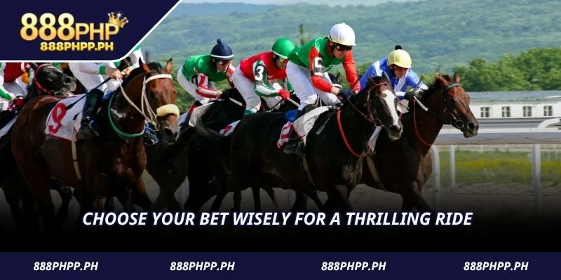Choose your bet wisely for a thrilling ride