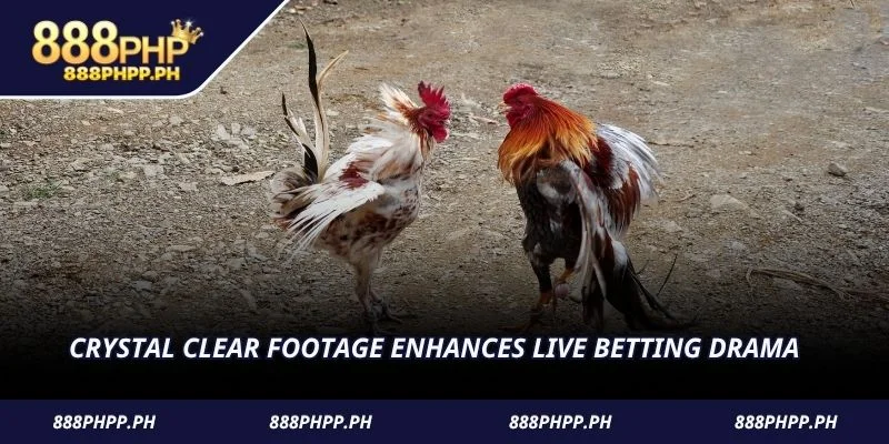 Crystal clear footage enhances live betting drama