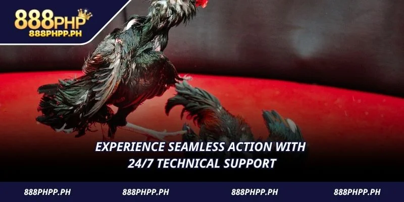 Experience seamless action with 24/7 technical support