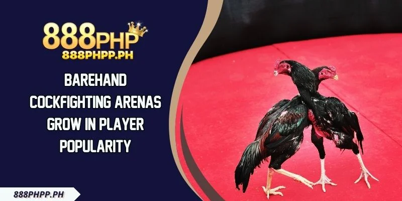 Barehand cockfighting Arenas Grow In Player Popularity