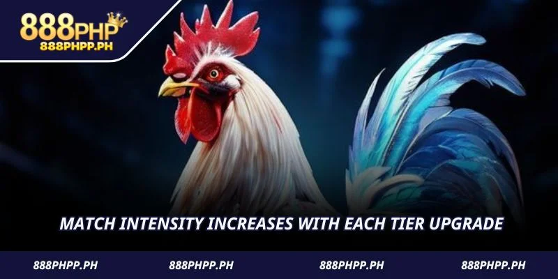 Match intensity increases with each tier upgrade